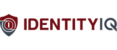 IdentityIQ logo